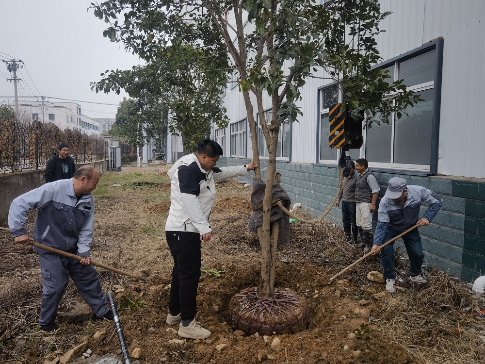 չ㶫²޹˾շоϿƼ޹˾Ͽչֲ